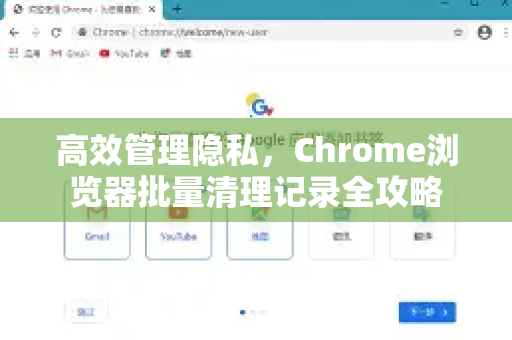 高效管理隐私，Chrome浏览器批量清理记录全攻略
