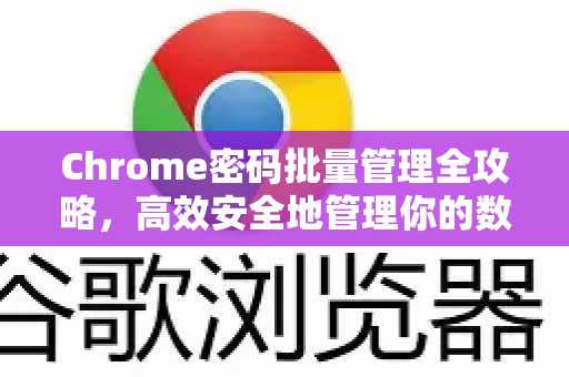 Chrome密码批量管理全攻略，高效安全地管理你的数字身份-第1张图片-[Chrome] Google下载-谷歌中国官网2026最新版