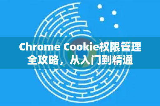 Chrome Cookie权限管理全攻略，从入门到精通
