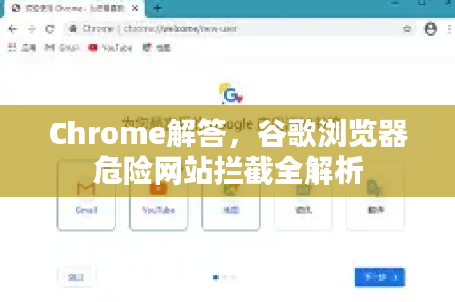 Chrome解答，谷歌浏览器危险网站拦截全解析