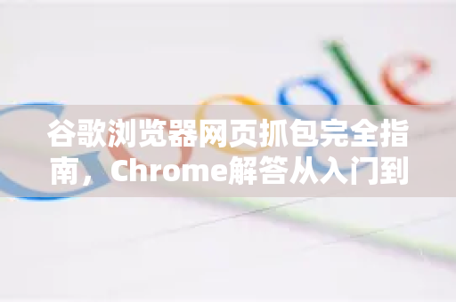 谷歌浏览器网页抓包完全指南，Chrome解答从入门到精通