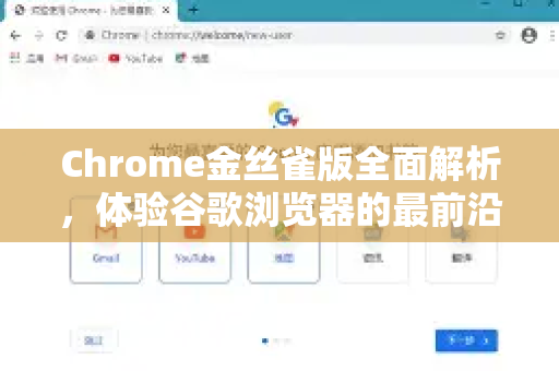 Chrome金丝雀版全面解析，体验谷歌浏览器的最前沿