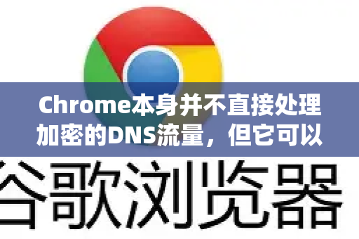 Chrome本身并不直接处理加密的DNS流量，但它可以建议或强制你的操作系统使用加密DNS-第1张图片-[Chrome] Google下载-谷歌中国官网2026最新版