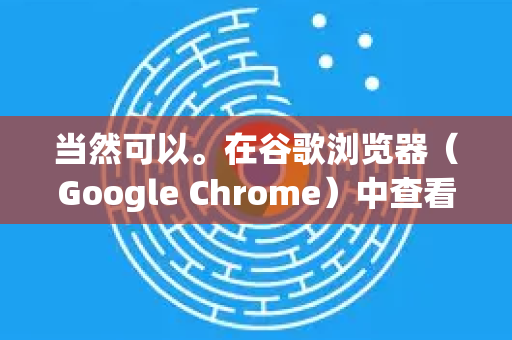 当然可以。在谷歌浏览器（Google Chrome）中查看和管理网站权限非常方便。网站权限包括位置、摄像头、麦克风、通知、JavaScript、弹出式窗口、自动下载等-第1张图片-[Chrome] Google下载-谷歌中国官网2026最新版