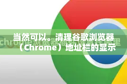 当然可以。清理谷歌浏览器（Chrome）地址栏的显示记录（包括搜索历史和网址历史）主要分为两种方式，删除单条记录和清除全部历史数据