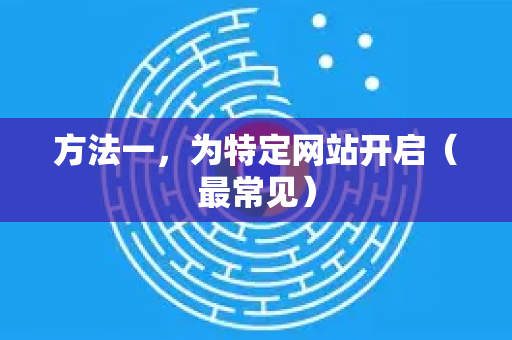 方法一，为特定网站开启（最常见）
