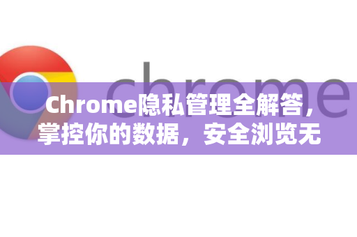 Chrome隐私管理全解答，掌控你的数据，安全浏览无忧-第1张图片-[Chrome] Google下载-谷歌中国官网2026最新版