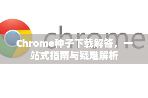 Chrome种子下载解答，一站式指南与疑难解析