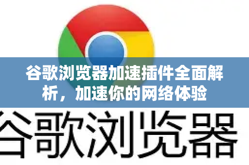 谷歌浏览器加速插件全面解析，加速你的网络体验