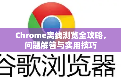 Chrome离线浏览全攻略，问题解答与实用技巧-第1张图片-[Chrome] Google下载-谷歌中国官网2026最新版