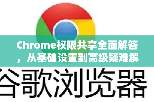 Chrome权限共享全面解答，从基础设置到高级疑难解析-第1张图片-[Chrome] Google下载-谷歌中国官网2026最新版